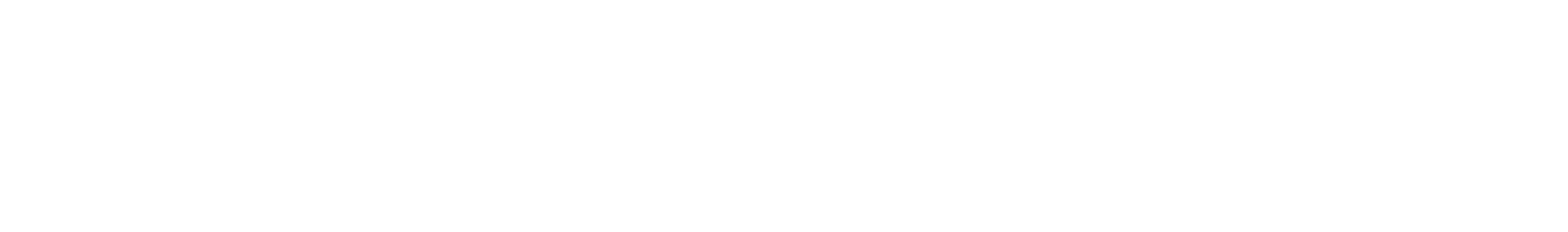 The Brand Academy Logo - horizontal